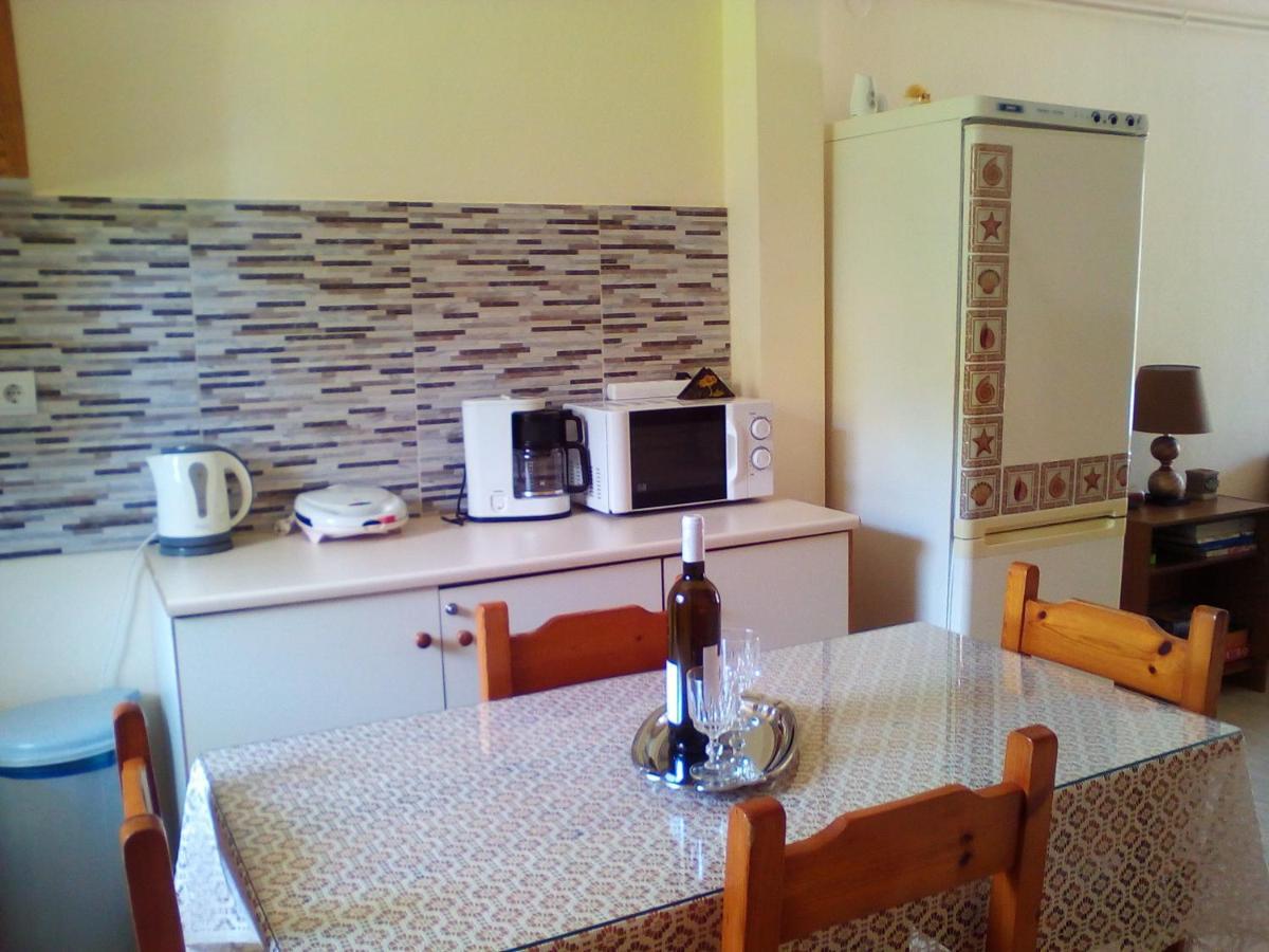 Galini Appartement Mytikas  Buitenkant foto